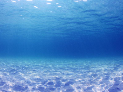 全球“限塑令”真的要來了！聯(lián)合國環(huán)境大會通過“限塑令”草案